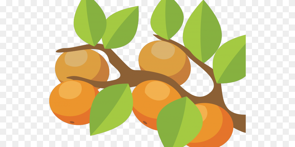 Orange Fruit Clipart Orange Tree Orange Tree Clipart, Food, Plant, Produce, Apricot Free Png