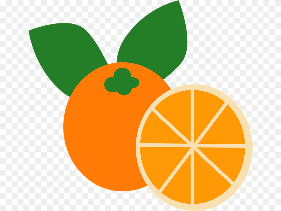 Orange Fruit Design Elements Web Vector Graphic On Vector Graphics, Citrus Fruit, Food, Plant, Produce Free Transparent Png