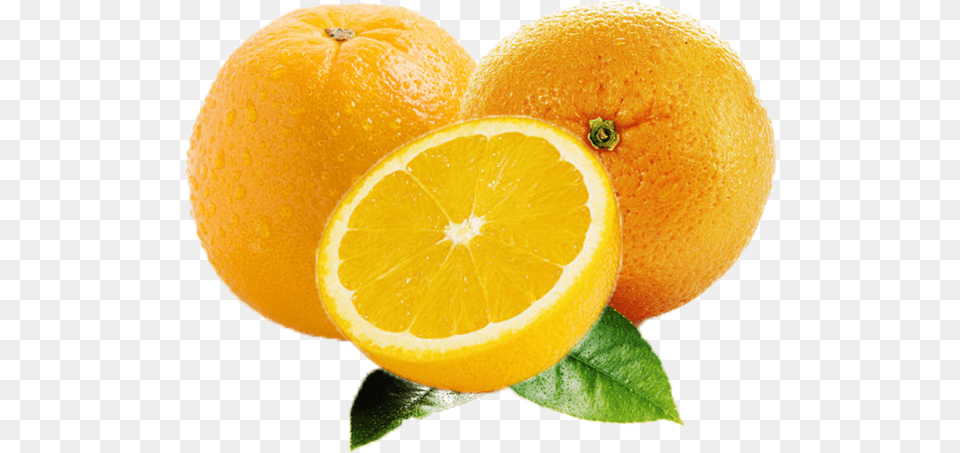 Orange Fruit Images Searchpng Orange, Citrus Fruit, Food, Lemon, Plant Free Png Download