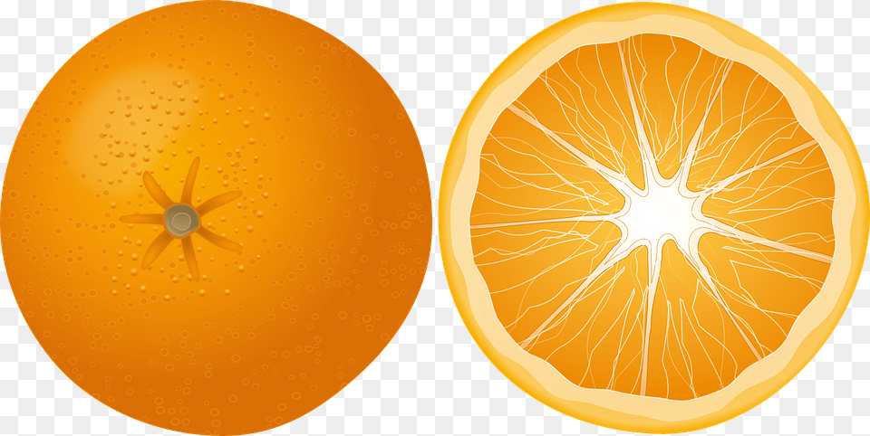 Orange Fruit Mandarin Citrus Fruit Juicy Yummy Free Orange Slice Clipart, Citrus Fruit, Food, Grapefruit, Plant Png