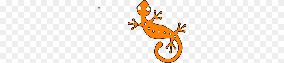 Orange Gecko Clip Art, Amphibian, Animal, Salamander, Wildlife Png