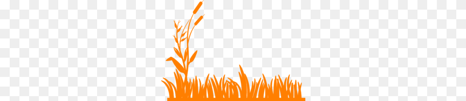 Orange Grass Clip Art, Outdoors, Graphics, Person, Nature Free Png Download