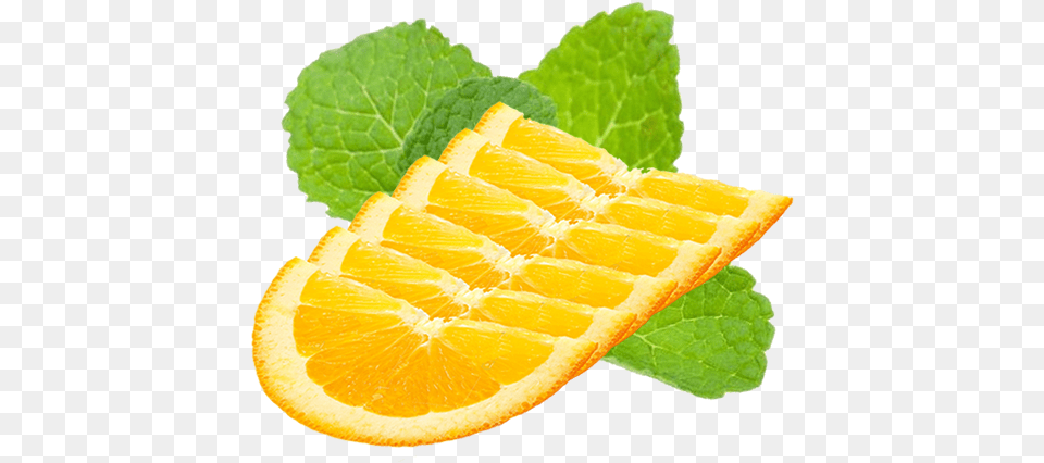 Orange Half Slices Half Slice Orange Garnish, Citrus Fruit, Plant, Produce, Fruit Png