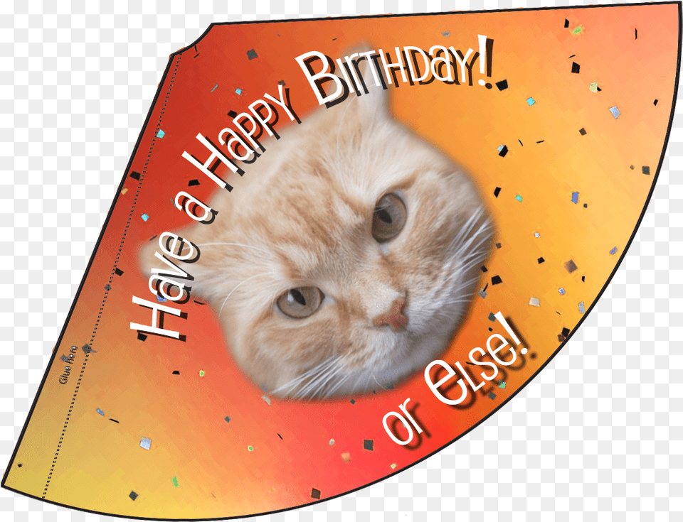 Orange Happy Birthday Or Else Hat Asian, Animal, Cat, Mammal, Pet Png