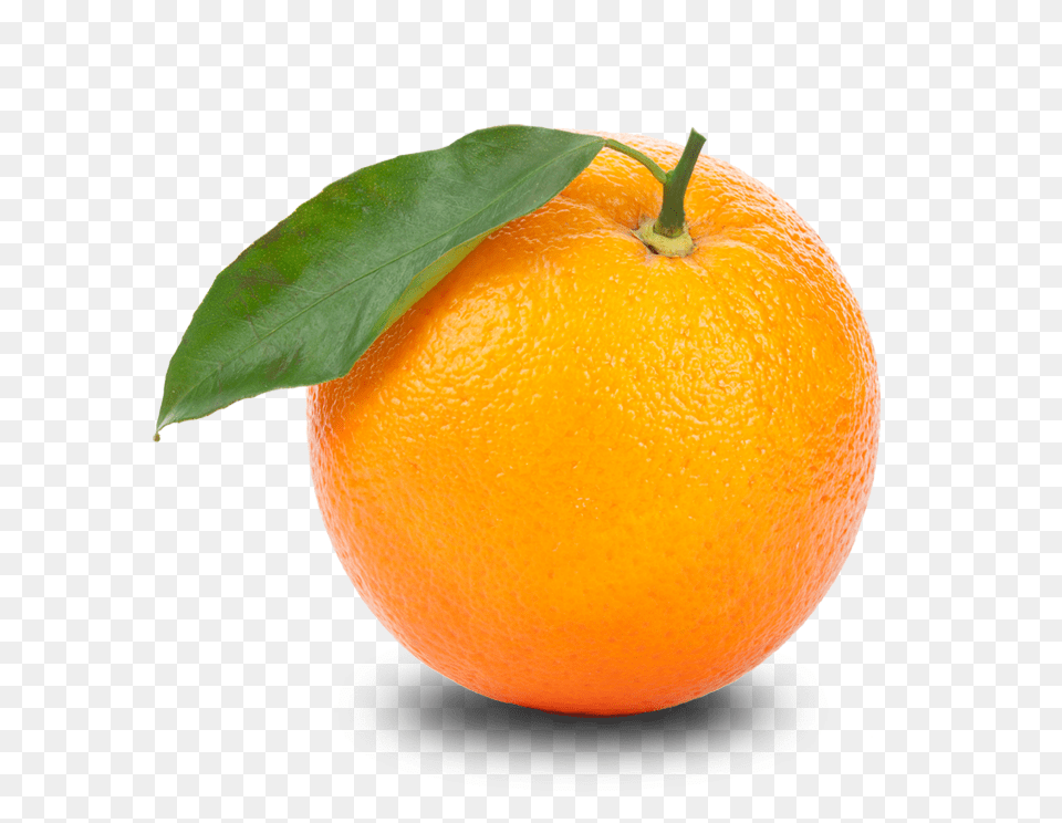Orange Hd Transparent Orange Hd, Citrus Fruit, Food, Fruit, Plant Free Png Download
