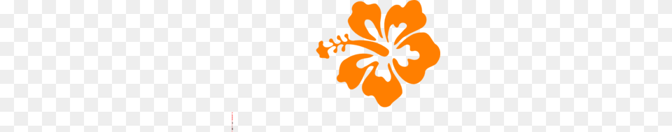 Orange Hibiscus Clip Art, Flower, Plant, Person, Face Free Png
