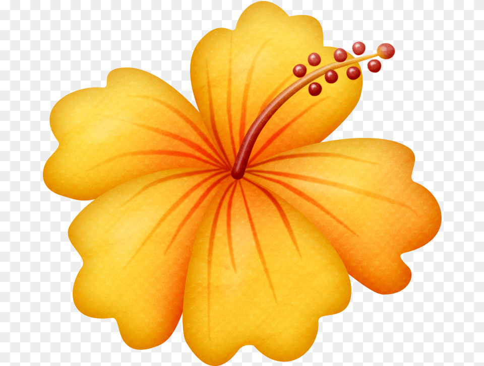 Orange Hibiscus Clipart, Anther, Flower, Plant, Petal Png