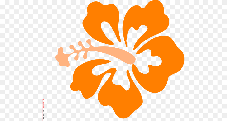 Orange Hibiscus Flower Clipart, Plant Png Image