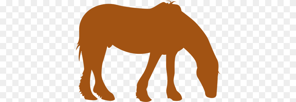 Orange Horse Silhouette Transparent U0026 Svg Vector File Horse Orange Silhouette, Animal, Mammal, Colt Horse, Bear Png Image