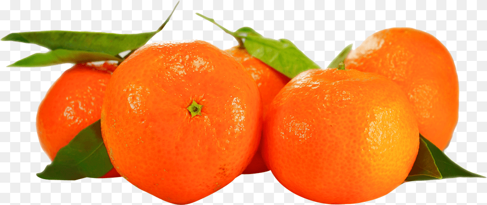 Orange Image, Citrus Fruit, Food, Fruit, Plant Png