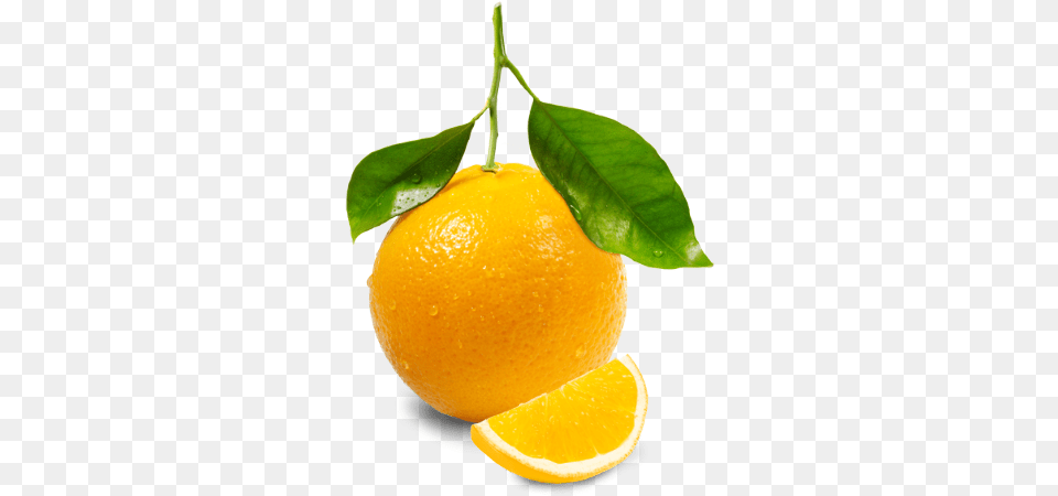 Orange Image Download Orange, Citrus Fruit, Food, Fruit, Plant Free Png