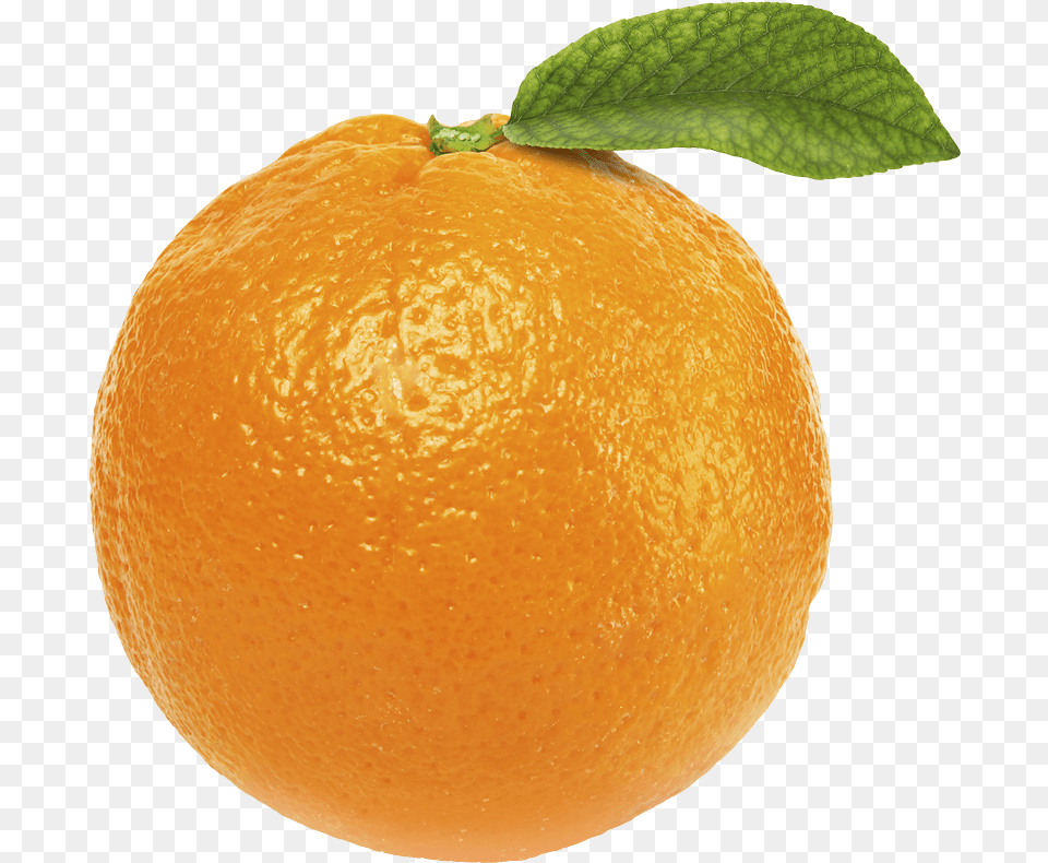 Orange Image Single Fruits, Citrus Fruit, Food, Fruit, Plant Free Png Download
