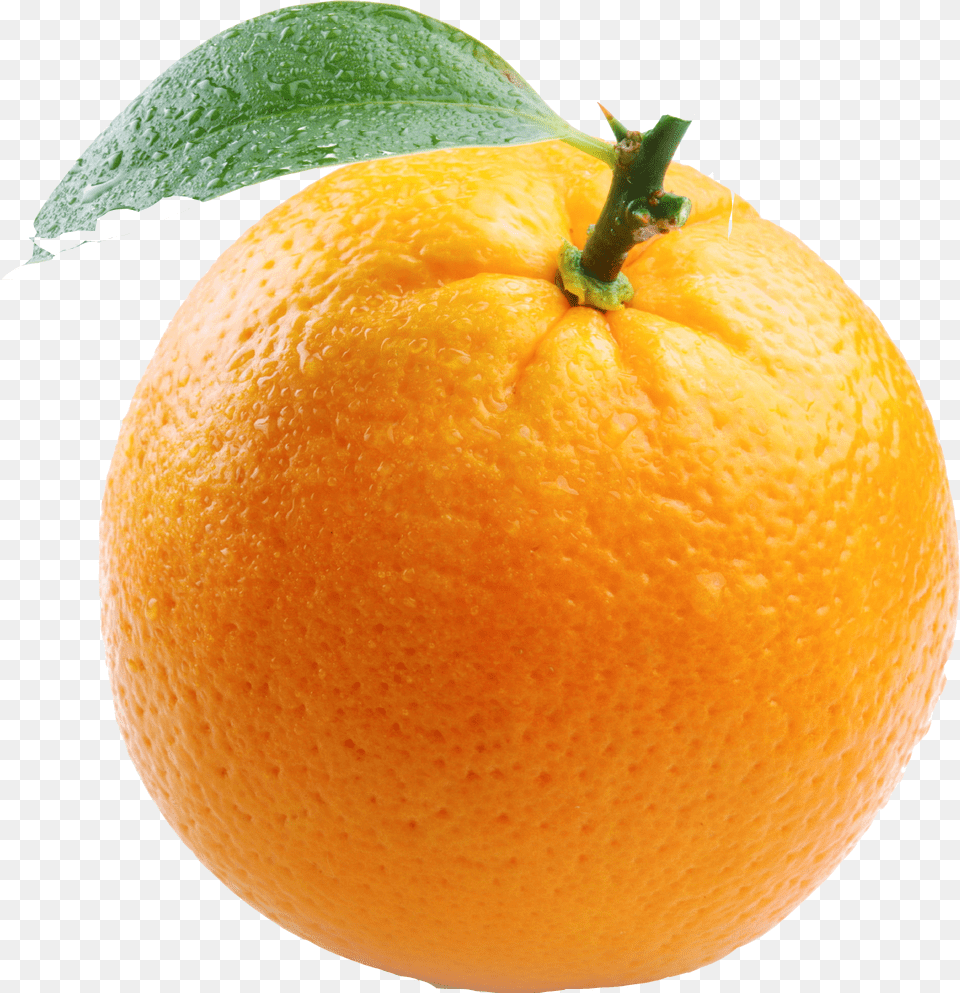 Orange In White Background Free Png Download