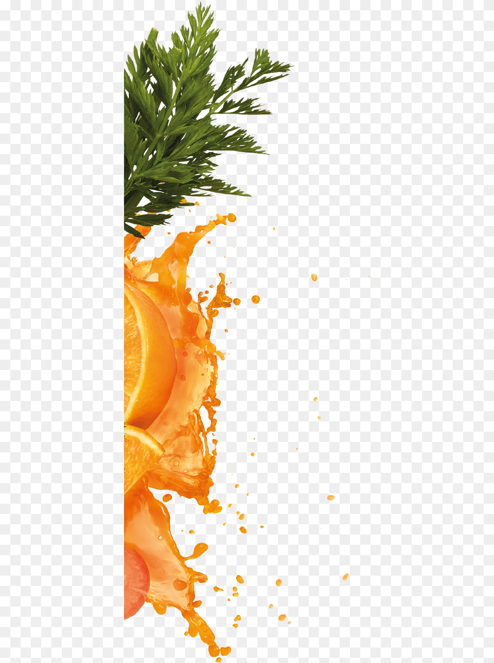 Orange Juice Burst, Beverage, Food, Fruit, Plant Free Png