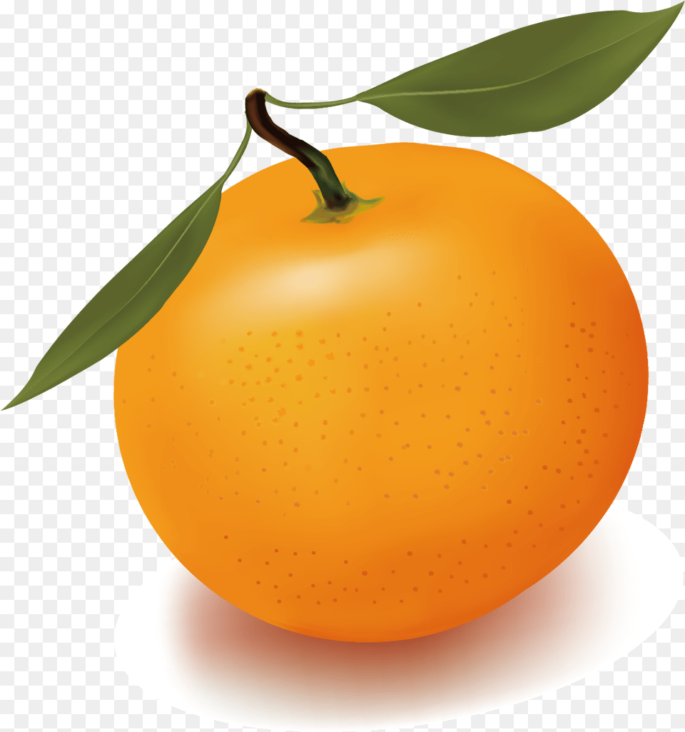 Orange Juice Free Content Clip Art Download Full Clipart Cartoon Orange, Grapefruit, Citrus Fruit, Food, Fruit Png
