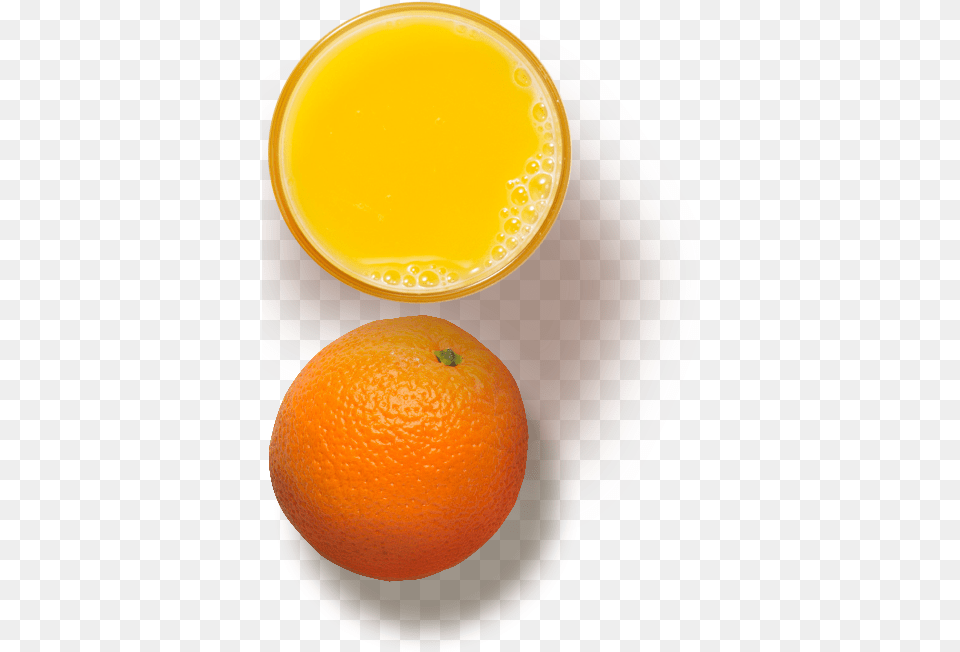 Orange Juice Top View, Beverage, Citrus Fruit, Food, Fruit Free Transparent Png