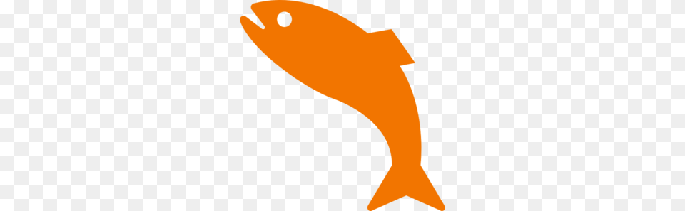 Orange Jumping Fish Clip Art, Animal, Sea Life, Person Png Image
