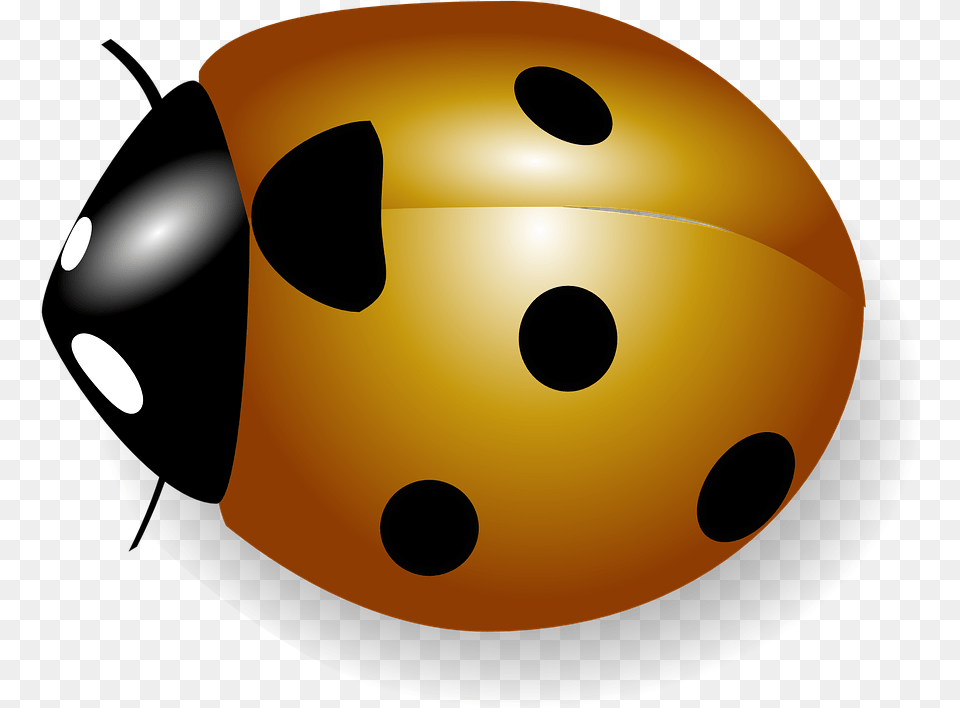 Orange Ladybug, Helmet, Disk, Sport, Skating Png Image