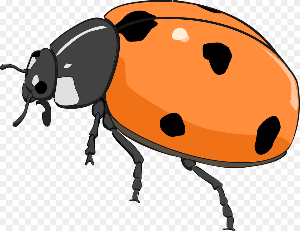 Orange Ladybug Clipart, Animal, Fish, Sea Life, Shark Png Image