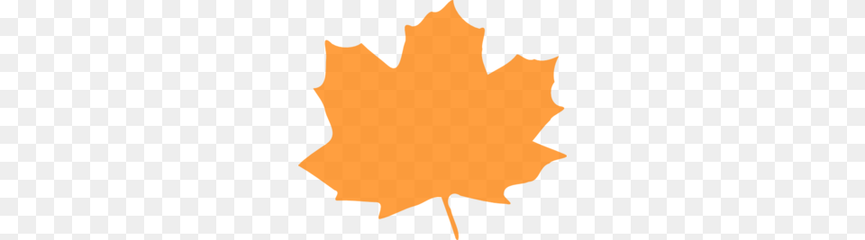 Orange Leaf Clip Art, Maple Leaf, Plant, Tree, Person Png Image