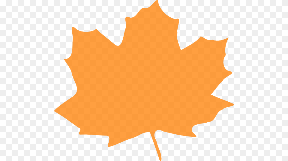 Orange Leaf Clip Art, Maple Leaf, Plant, Tree, Animal Png