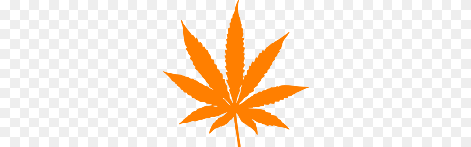 Orange Leaf Clip Art, Plant, Person, Weed Png Image