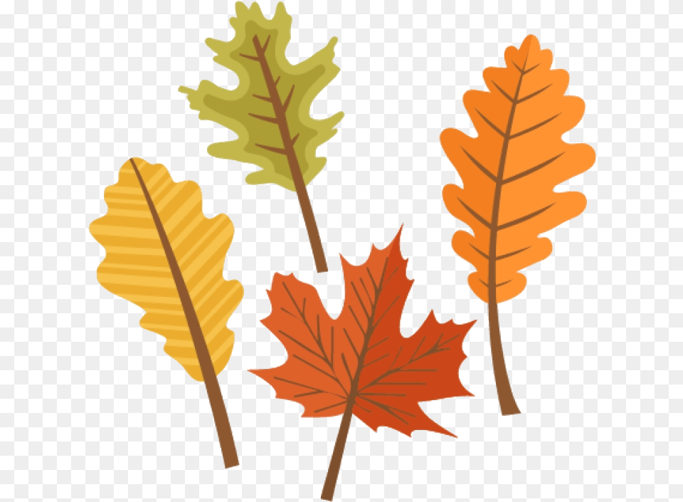 Orange Leaf Fall Leaves Clip Art Cute Autumn Clipart Transparent Background Fall Leaves Clipart, Plant, Tree, Maple Leaf Png