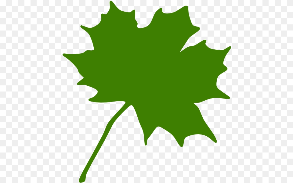 Orange Leaf Maple Clipart Green Transparent Orange Maple Leaf Clipart, Maple Leaf, Plant, Tree, Person Free Png