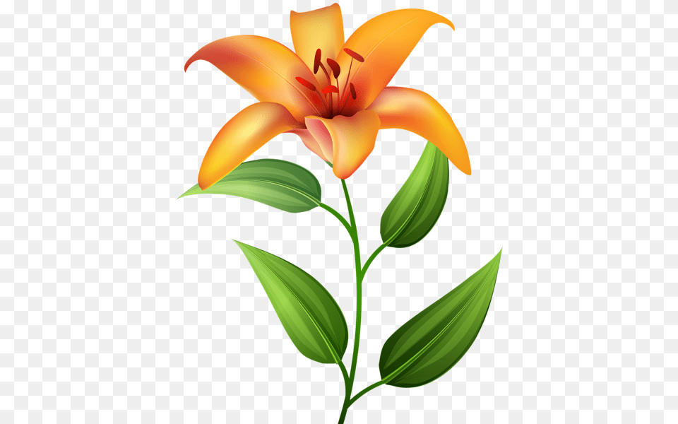 Orange Lilium Transparent Clip Art Art Flower Power, Plant, Lily Png