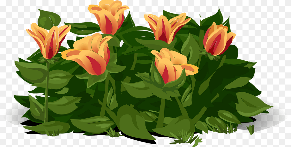 Orange Lily Dlower Bush Clipart, Flower, Plant, Flower Arrangement, Tulip Free Png Download