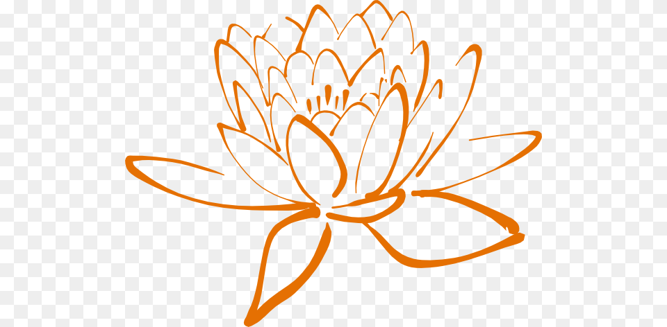 Orange Lotus Clip Art, Dahlia, Flower, Plant, Anther Free Png Download
