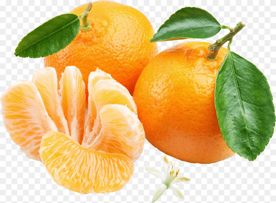 Orange Mandarin Transparent Cartoons Orange Mandarin, Citrus Fruit, Food, Fruit, Grapefruit Free Png
