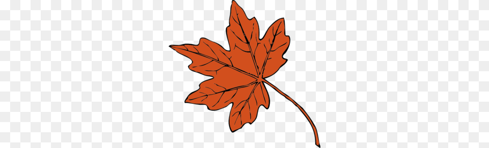 Orange Maple Leaf Clip Art, Plant, Tree, Maple Leaf, Person Png Image