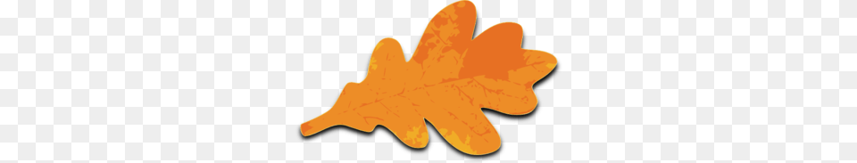 Orange Maple Leaf Clip Art, Plant, Tree, Person Free Transparent Png