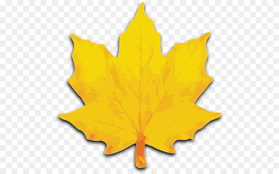 Orange Maple Leaf Clip Arts For Web, Maple Leaf, Plant, Tree Free Png Download