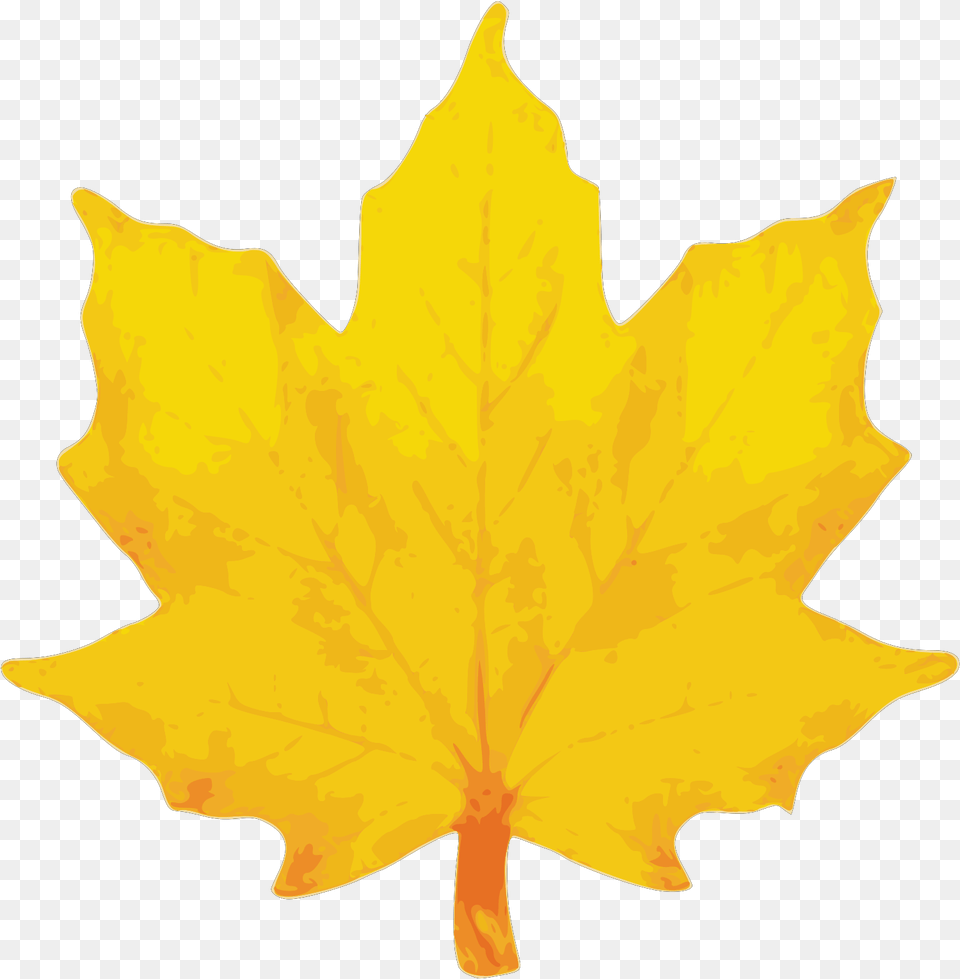 Orange Maple Leaf Svg Vector Clip Art Yellow Fall Leaves Clip Art, Maple Leaf, Plant, Tree, Animal Free Transparent Png