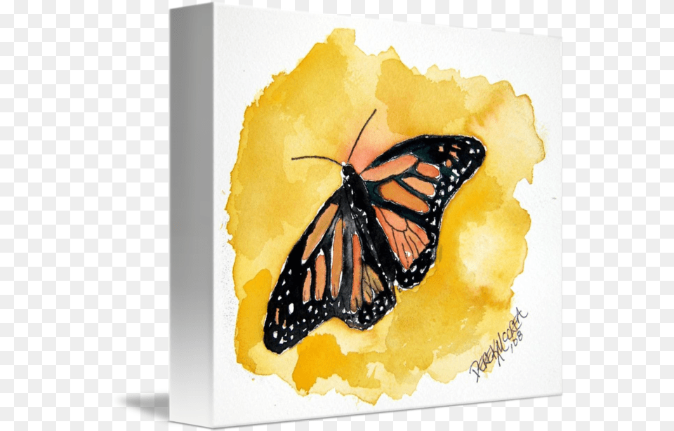 Orange Monarch Butterfly Watercolor Painting By Derek Mccrea Paint A Small Butterfly, Animal, Insect, Invertebrate Free Png Download