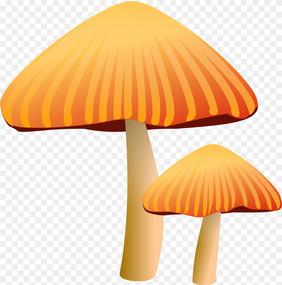 Orange Mushroom Clipart, Agaric, Amanita, Fungus, Plant Free Png