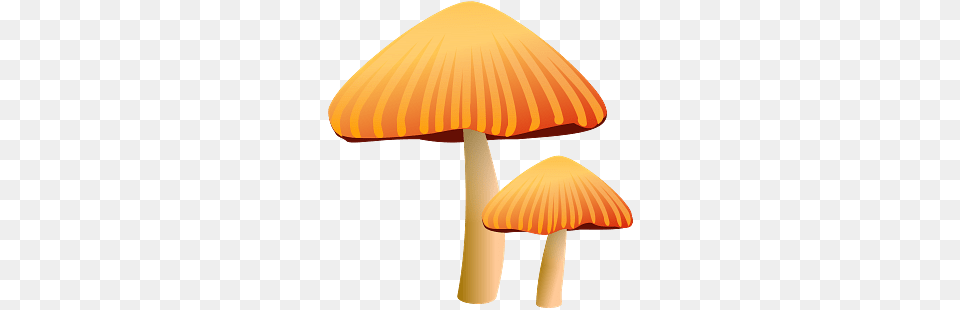 Orange Mushrooms, Fungus, Plant, Agaric, Amanita Png