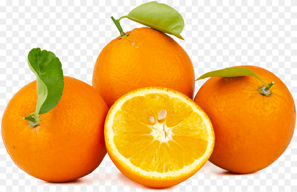 Orange Navel Fruit Juicer, Citrus Fruit, Food, Grapefruit, Plant Free Png Download