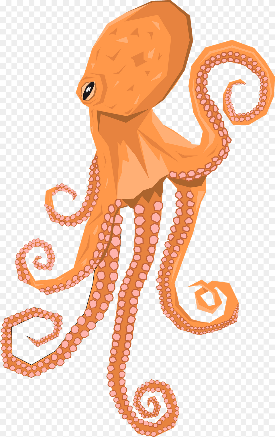 Orange Octopus Clipart, Animal, Sea Life, Invertebrate, Adult Png