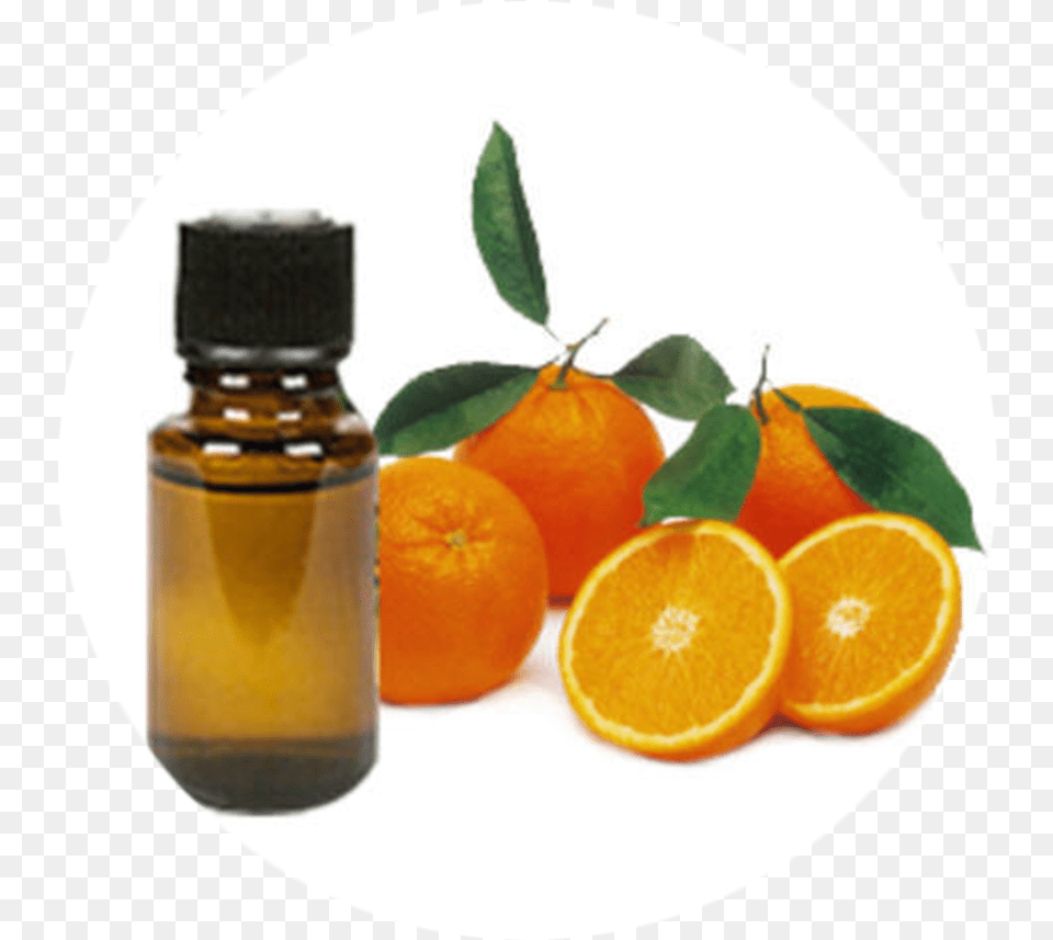 Orange Oil U0026 Oilpng Transparent Images Bitter Orange Oil, Produce, Plant, Citrus Fruit, Food Free Png