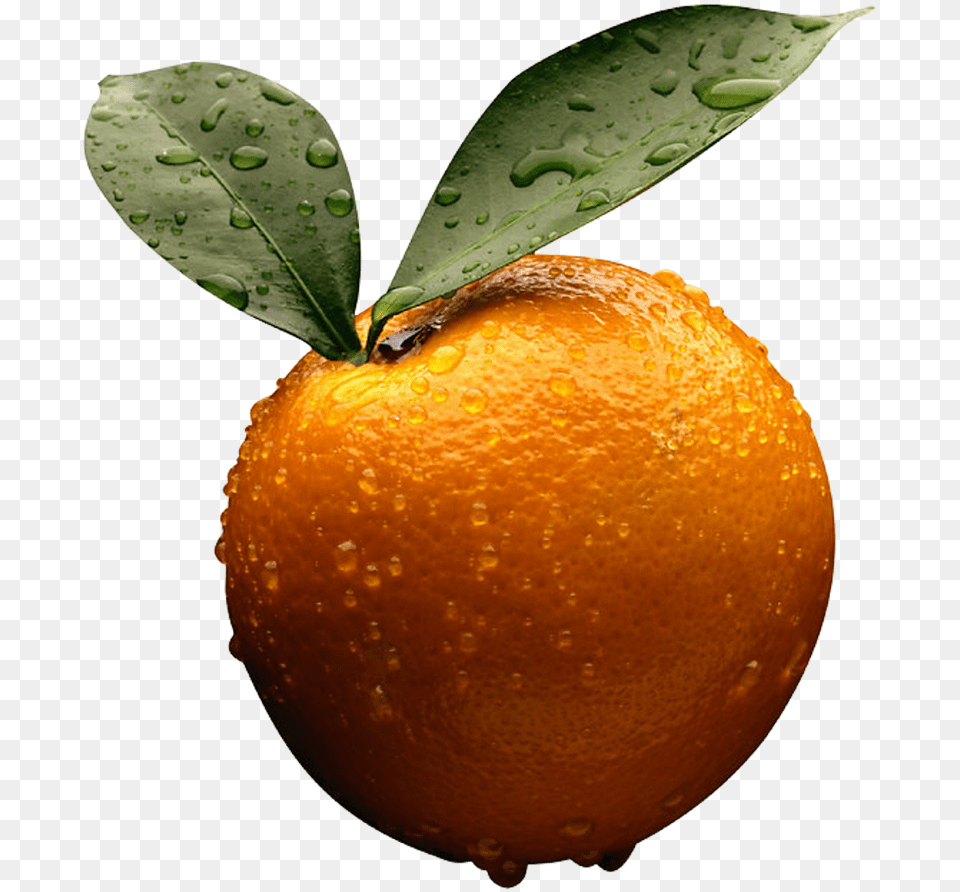 Orange Orange Business Accounting By Frank Wood, Citrus Fruit, Food, Fruit, Plant Free Png Download
