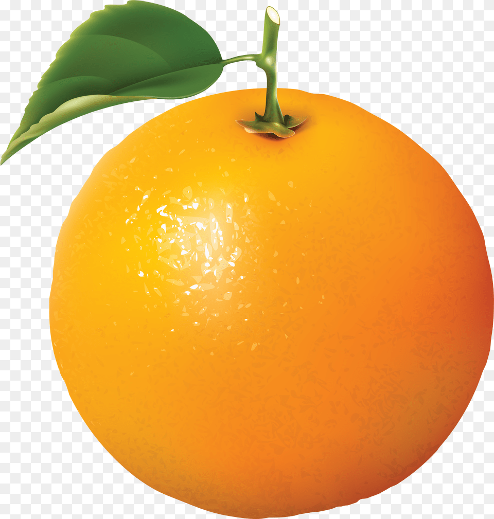 Orange Orange Fruit, Produce, Citrus Fruit, Food, Grapefruit Free Png Download