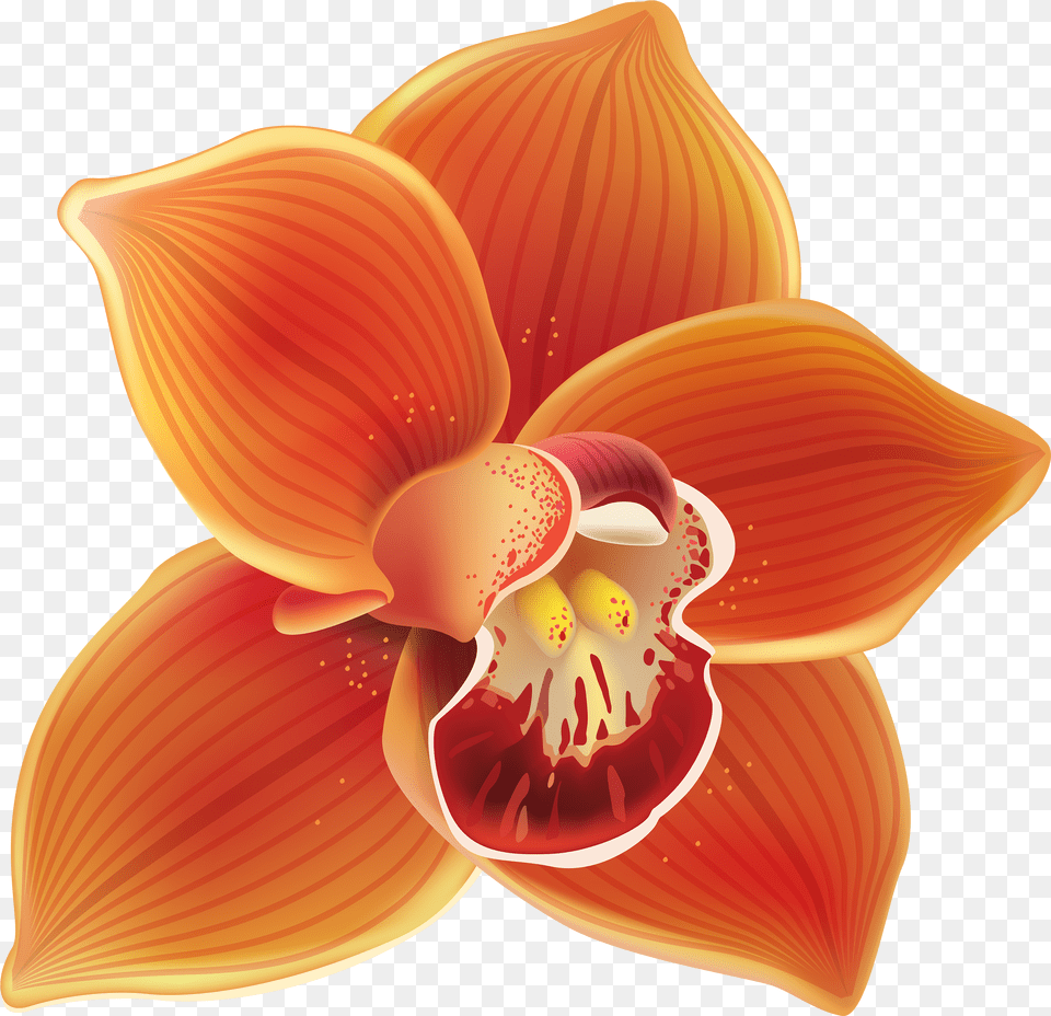 Orange Orchid Clipart Clip Art Orchid Flower, Petal, Plant, Chandelier, Lamp Free Png