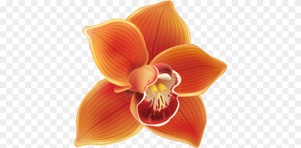 Orange Orchid Clipart Orange Orchid Clipart, Flower, Petal, Plant, Chandelier Free Png Download