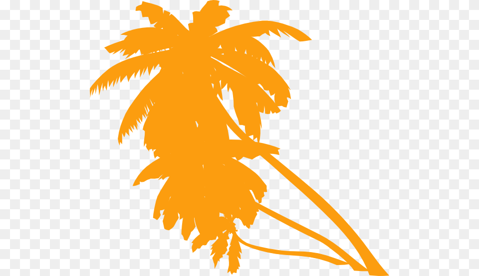 Orange Palm Tree, Leaf, Palm Tree, Plant, Summer Png Image