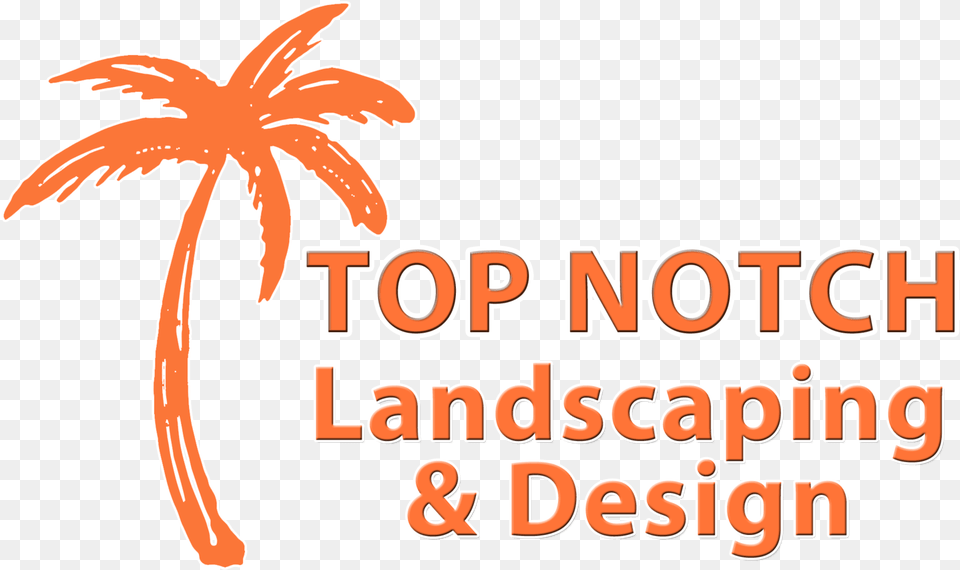 Orange Palm Tree Logo Text, Palm Tree, Plant Free Transparent Png