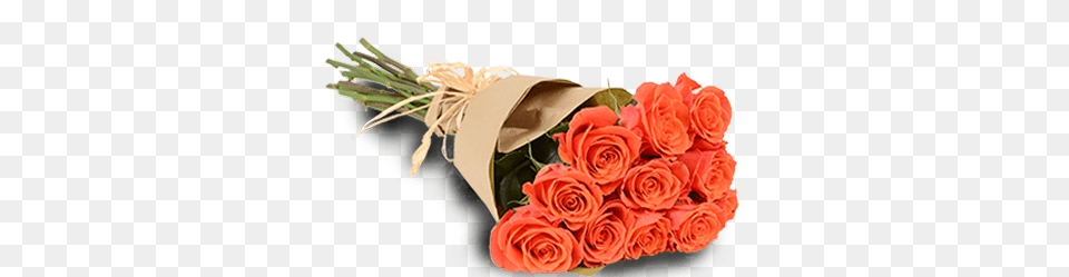Orange Passion 1 Dozen Garden Roses, Rose, Plant, Food, Flower Bouquet Free Png Download