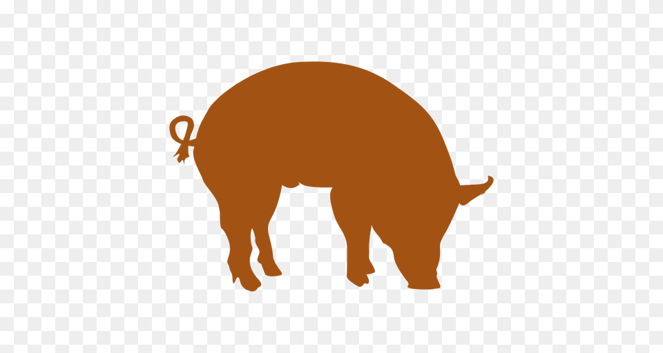 Orange Pig Silhouette, Animal, Boar, Hog, Mammal Free Png Download